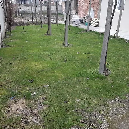 Apartment Studio Krasi Aheloy